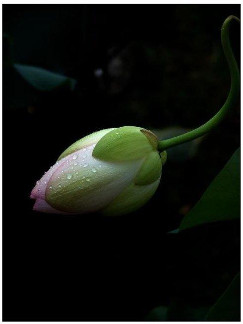 寻找（黄观仕）男，91.—94住坑梓。 - 黄观仕