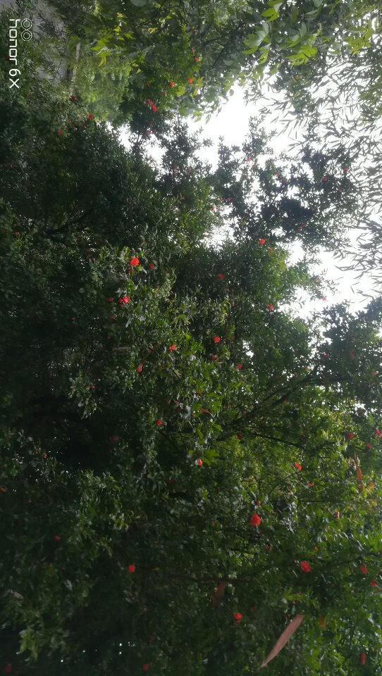 谢谢大家帮助 - 赵芬小名赵幺妹