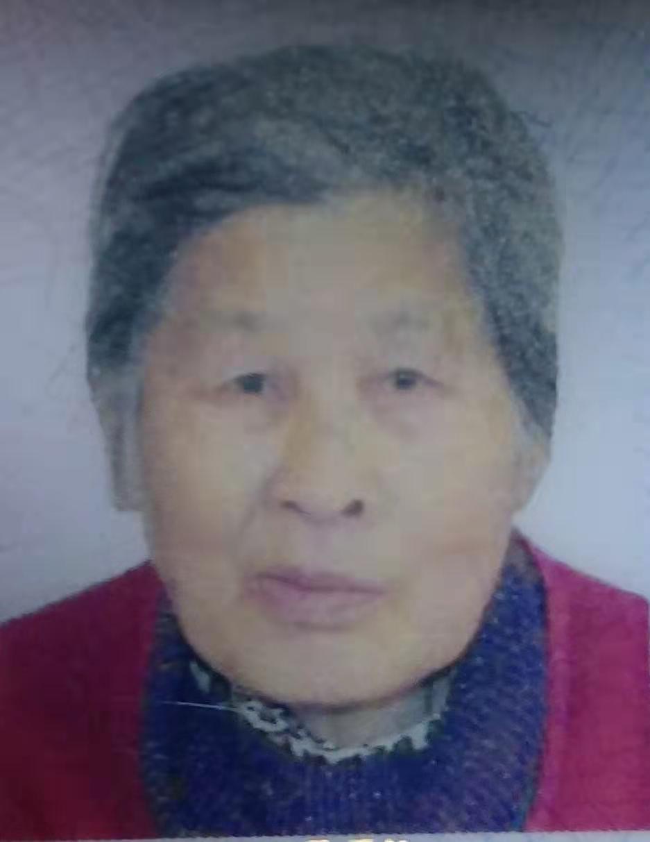 有一位老奶奶走时。 - 王秀清