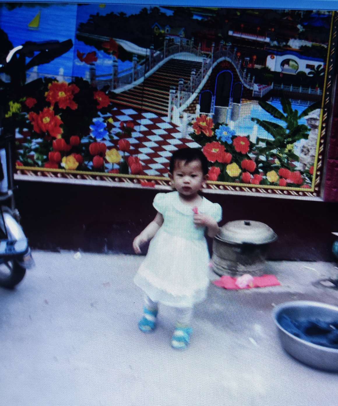 请大家多多帮忙，早上和亲人团聚 - 王姝雅