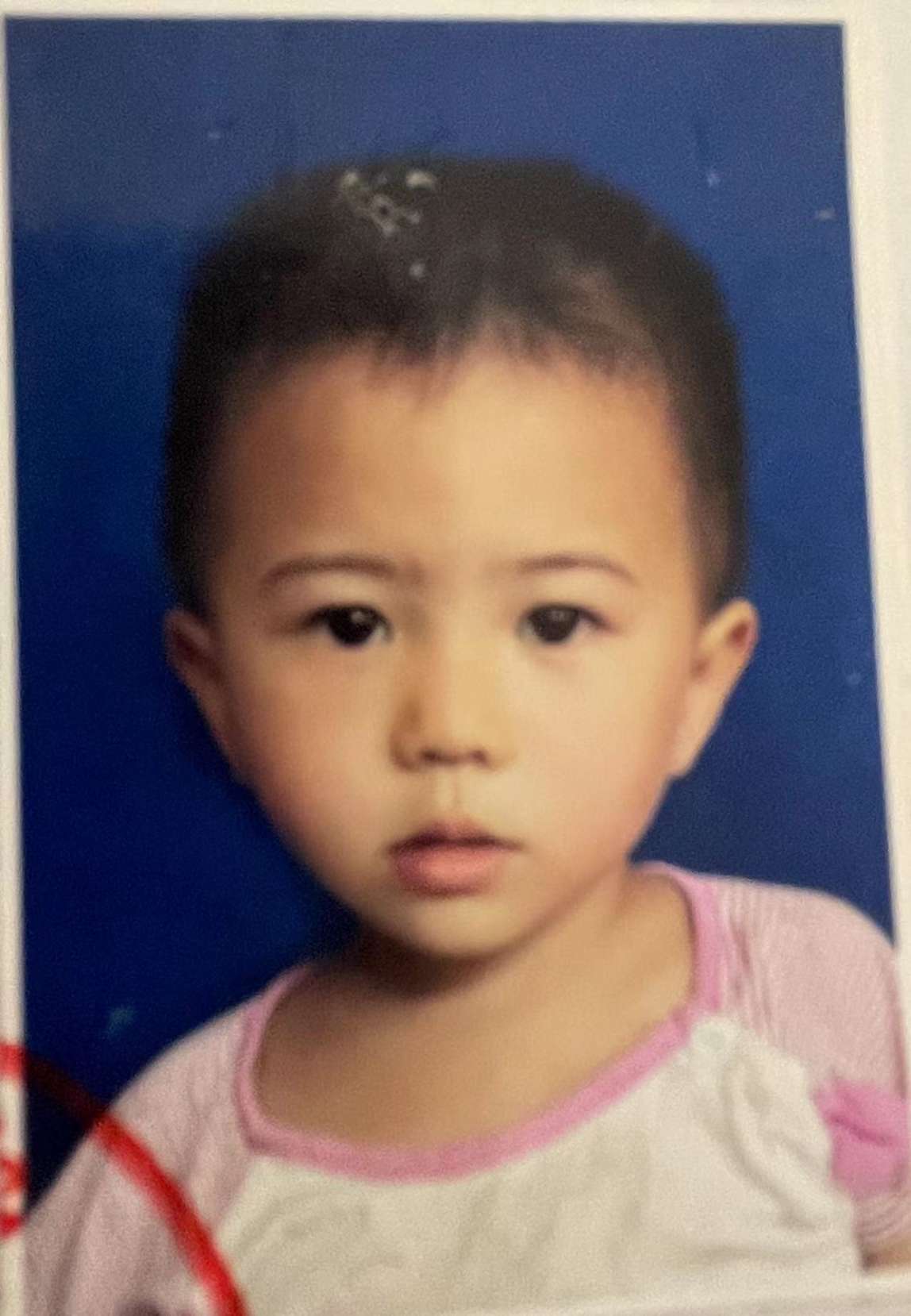 寻找孩子亲生父母 - 高盼盼